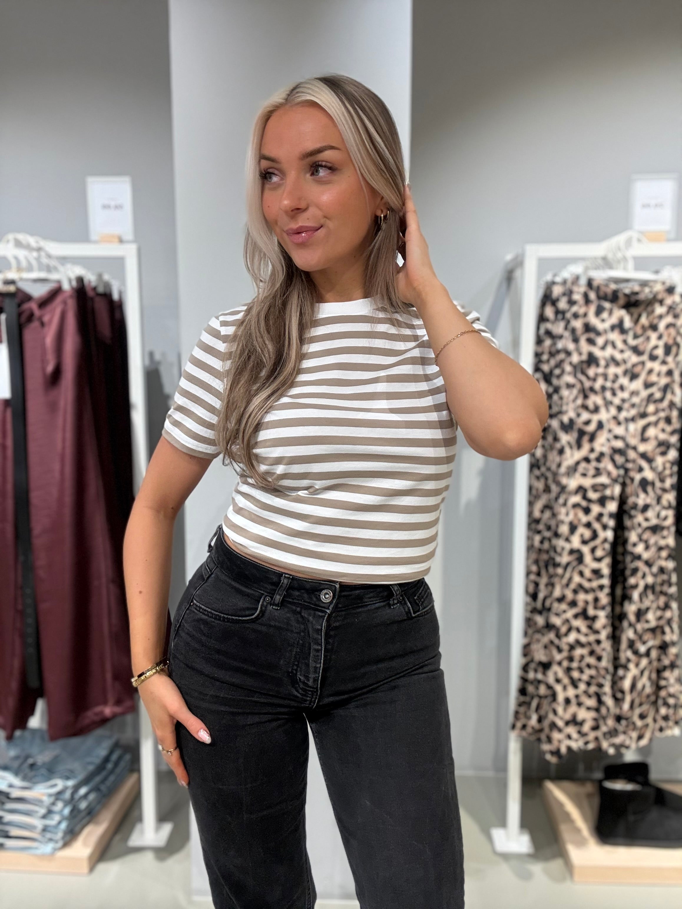 PCRIA T-Shirt - Silver Mink