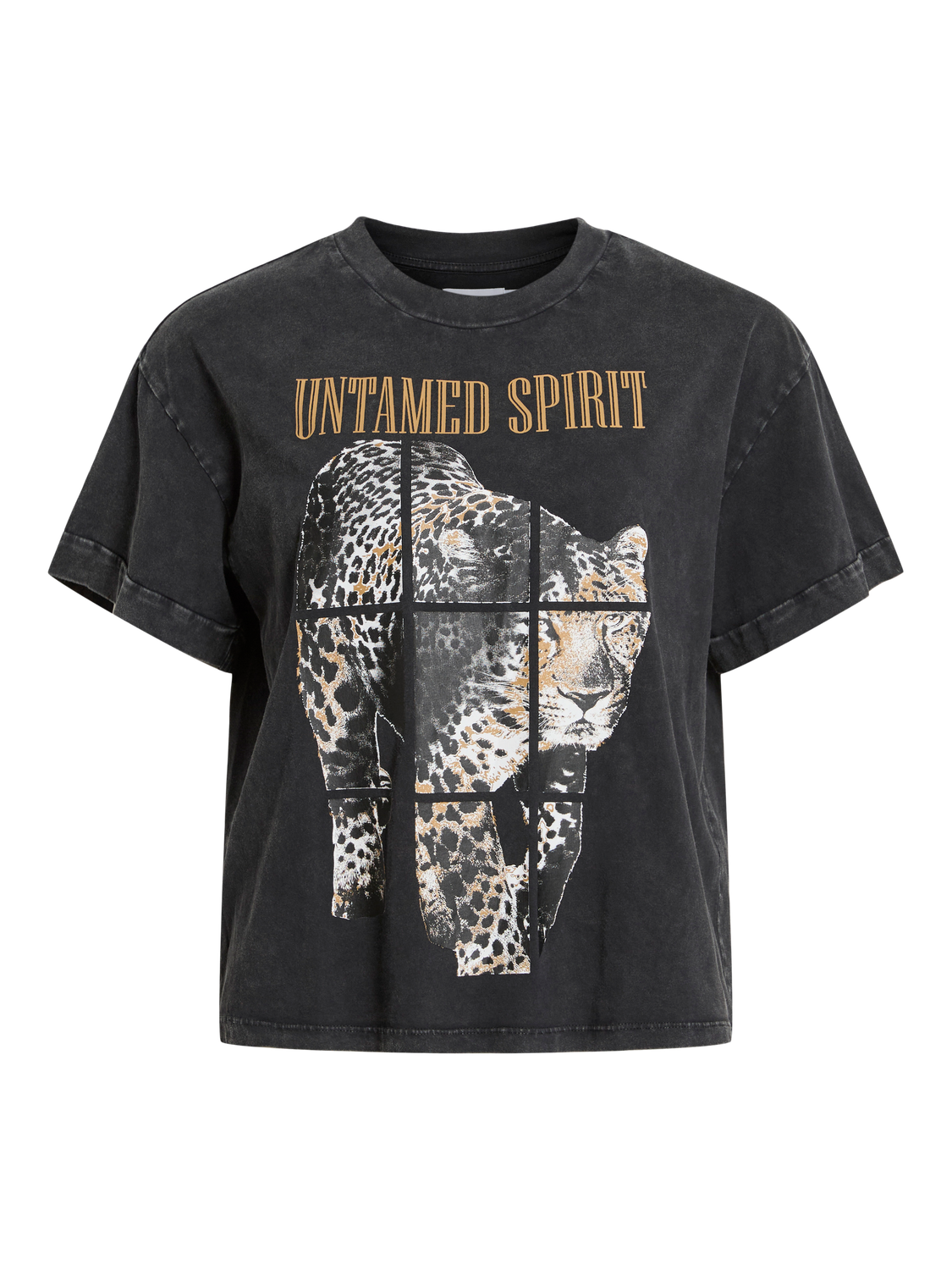 pack_shot-front